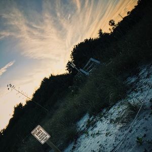 Meet your Posher, Gracey